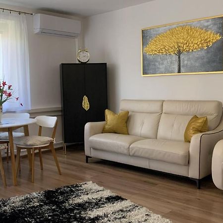 Golden Apartament Legionow Stary Toruń エクステリア 写真