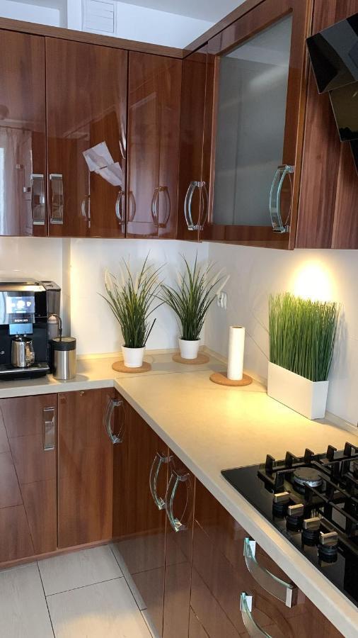 Golden Apartament Legionow Stary Toruń エクステリア 写真