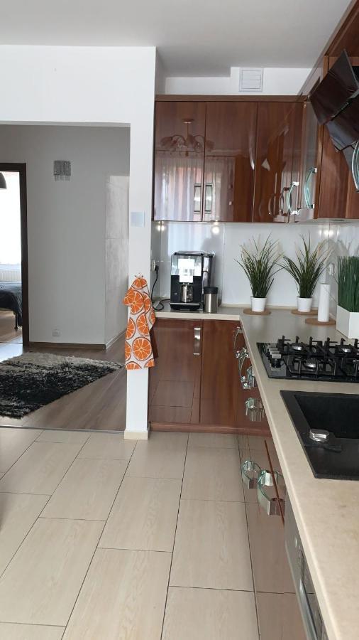 Golden Apartament Legionow Stary Toruń エクステリア 写真